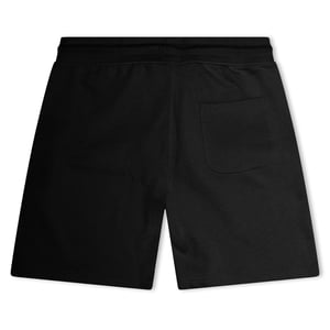 Weekend Offender Scandium-sweatshorts voor heren (Zwart)