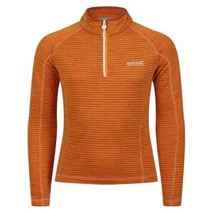 Boys Regatta Zip Neck Raglan Sleeve Sweatshirt in OrangePepper