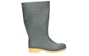 Dikimar Administrator Wellingtons Juniors