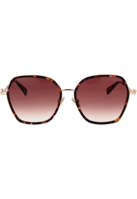 Ted Baker Sunglasses TB1776 703 58