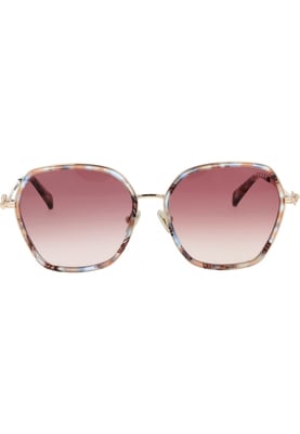 Ted Baker TB1776 58101 TB1776 58 101 Sunglasses