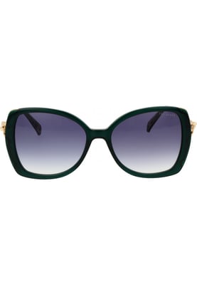 Ted Baker Sunglasses TB1773 561 55