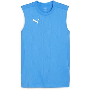 Men's Puma Teamfinal Training Short Sleeve Performance T-Shirt in Ignite Blu/Silv