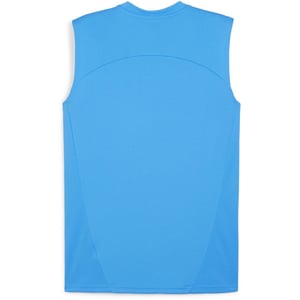 Men's Puma Teamfinal Training Short Sleeve Performance T-Shirt in Ignite Blu/Silv