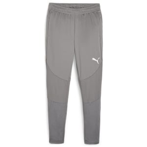 Men's Puma Teamfinal Performance Tracksuit Bottoms in Cast Iron/Silv
