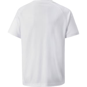 Boys Puma Teamvision Jersey Jr T-Shirt Unisex Kids in Wht-GlcrGry-Blk