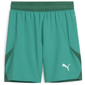 Men's Puma Teamfinal Shorts Football Shorts in Sport Green/Wht