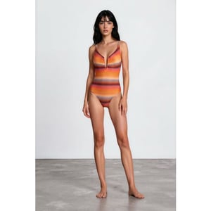 Maryan Mehlhorn Low plunge wimuit