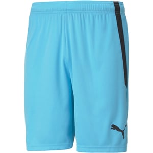 Men's Puma Teamliga Shorts Football Shorts in Blue/Blk