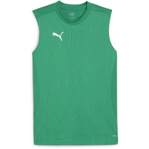 Men's Puma Teamfinal Training Short Sleeve Performance T-Shirt in Green/Silver