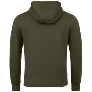 The North Face Light Drew Peak Mens Taupe Green Hoodie