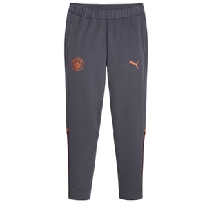 Puma Casual herenbroeken van Manchester City FC (trainingspak) (Grijs)