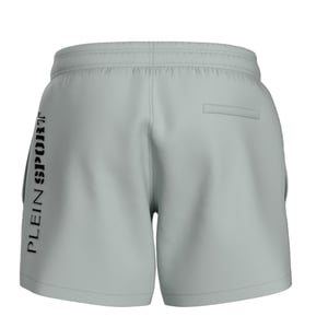 Water Tiger Logo Boardshort Swim Shorts in Light Grey