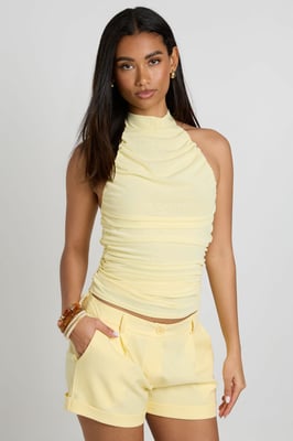 Slinky Mesh Ruched Halterneck Top