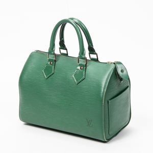 Speedy 25 Handbag