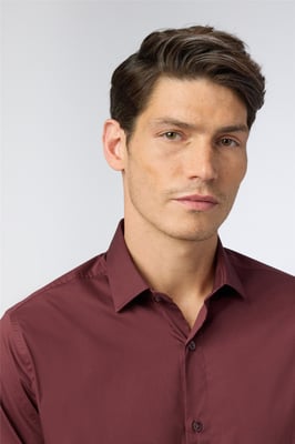 Long Sleeve Cutaway Collar Tailored Formal Shirt in Wine