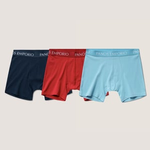 Three pack base bamboo boxer in blue and red with elastic waist