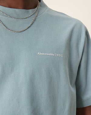 Abercrombie & Fitch premium logot-shirt i blått