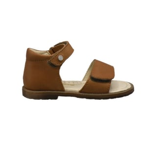 Falcotto Silt