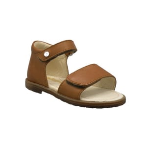 Falcotto Silt