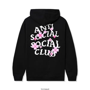 ASSC x Minecraft Cherry Blossom Hoodie in Black