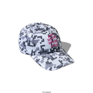 ASSC x Minecraft Pixel Camo 6P Hats in Grey