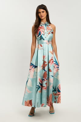Petite Lilly Print Twill Collared Maxi Dress