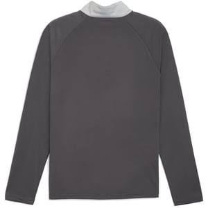 Men's Puma Individualliga Quarter Zip Drill Top in Shadow Gray