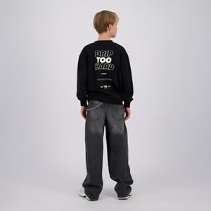 Raizzed Hanoi grey denim