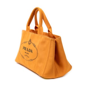 Medium Canapa Tote Handbag
