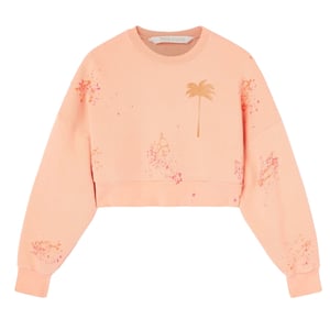 Palm Angels Pxp Painted Cropped Crew Coral