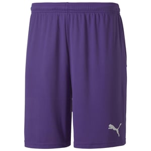 Puma teamGoal 23 Knit Mens Purple Shorts