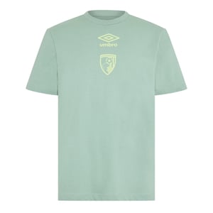 Umbro Heren AFC Bournemouth T-Shirt (Groen Baai)