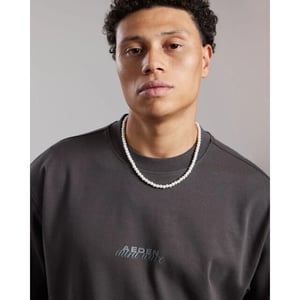 Aeden yasin tee a22243299 9 raven