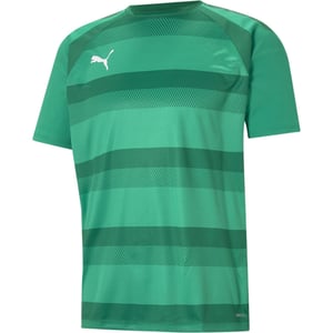 Men's Puma Teamvision Jersey T-Shirt in Green/Green/Wht