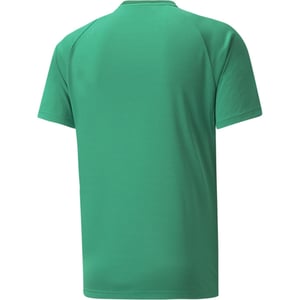 Men's Puma Teamvision Jersey T-Shirt in Green/Green/Wht