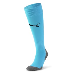 Accessories Puma Team Liga Socks Core Football Sock in Blue/Black