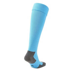 Accessories Puma Team Liga Socks Core Football Sock in Blue/Black