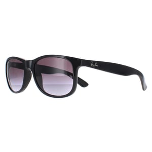 Ray-Ban Sunglasses Andy 4202 601/8G Black Grey Gradient