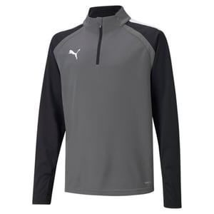 Puma TeamLiga Kids Grey Football Top
