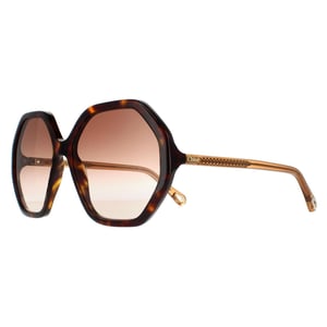 Chloe Round Dames Dark Havana en Bruin Crystal Bruin Gradient Ch0008s Esther