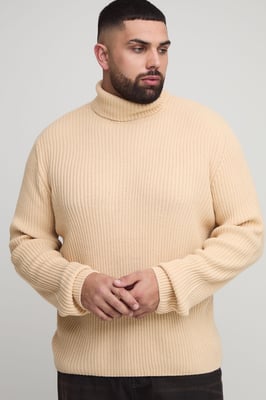 Plus Basic Regular Fit Ribbed Roll Neck Jumper