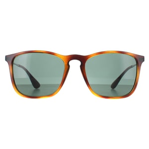 Ray-Ban Sunglasses 4221 622/8G Black Rubber Grey Gradient