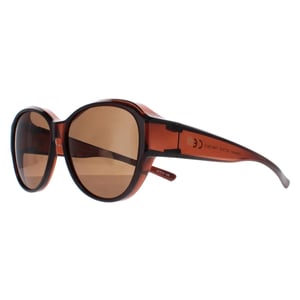 Smarty Round Unisex Transparent Brown EF Brown X2115