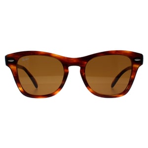 Ray-Ban RB0707S 954/33 gestreepte zonnebril havana bruin
