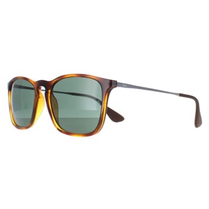 Ray-Ban Sunglasses 4221 622/8G Black Rubber Grey Gradient