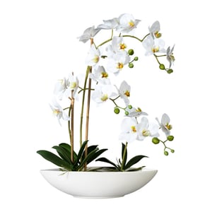 Kopu ® kunstbloem orchidee 60 cm met schaal ovaal phalenopsis