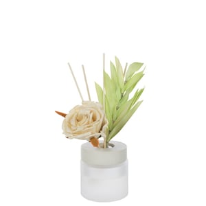 J-Line geurolie+bloem glas 11.5x8.5x27cm