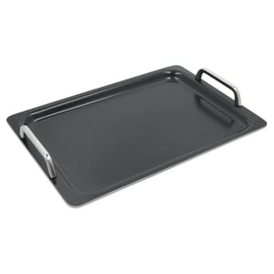 Zwilling Enfinigy teppanyaki platen copy