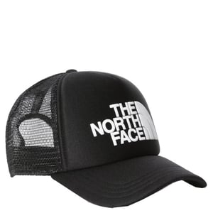 The North Face Skate cap
